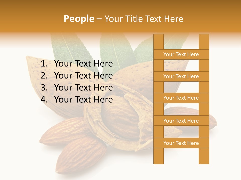 Group Closeup Almond PowerPoint Template