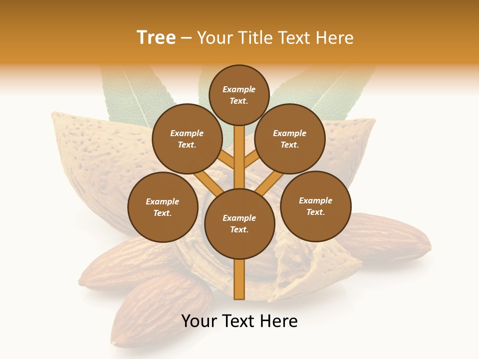 Group Closeup Almond PowerPoint Template