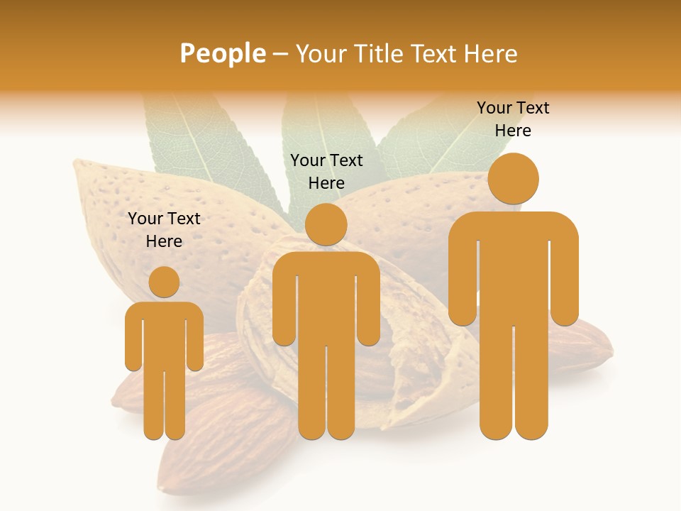 Group Closeup Almond PowerPoint Template