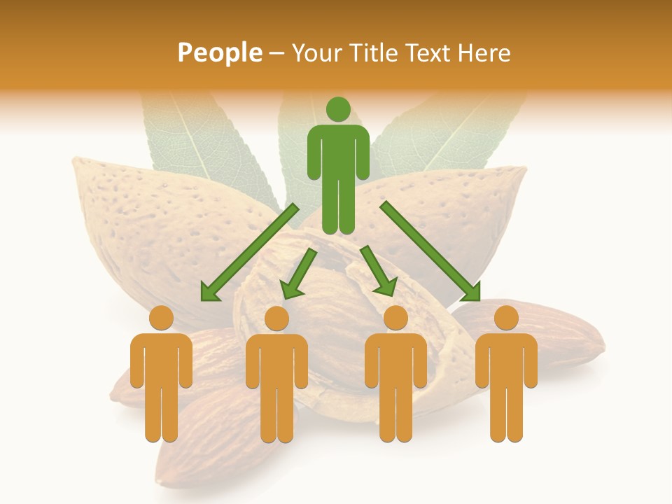 Group Closeup Almond PowerPoint Template