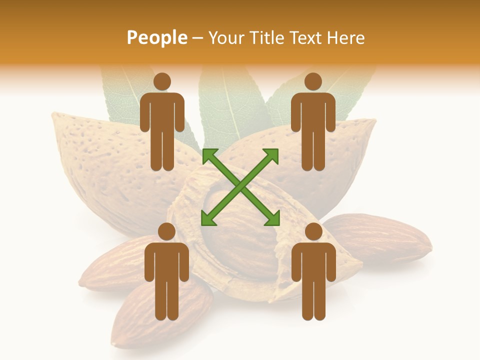 Group Closeup Almond PowerPoint Template