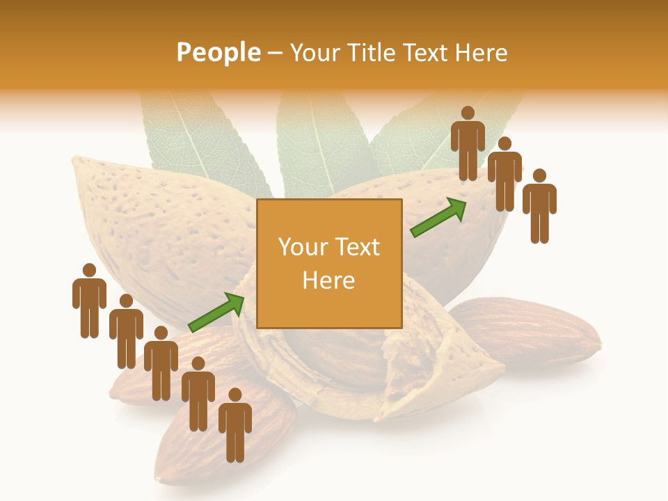 Group Closeup Almond PowerPoint Template
