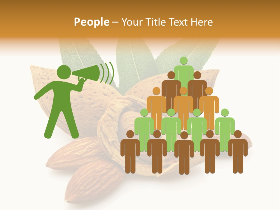 Group Closeup Almond PowerPoint Template