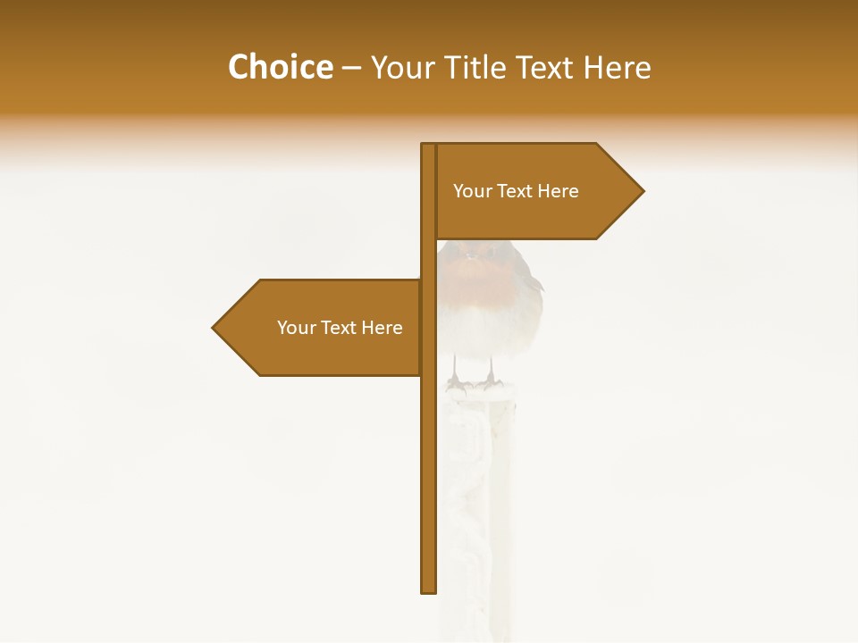 Beautiful Breast Light PowerPoint Template