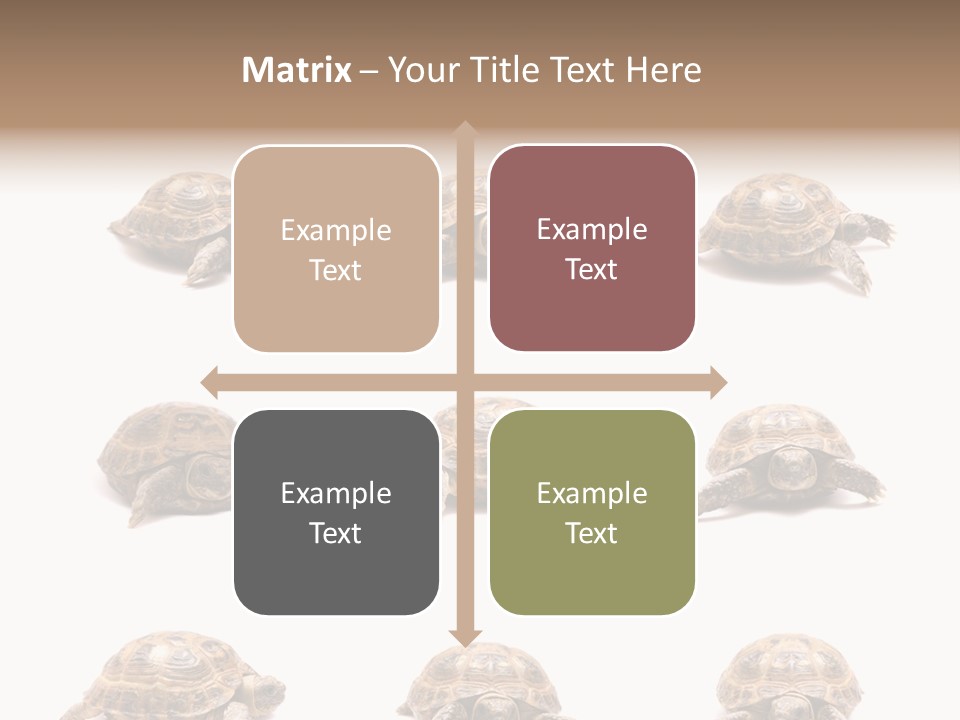 Motion Persistence Climate PowerPoint Template