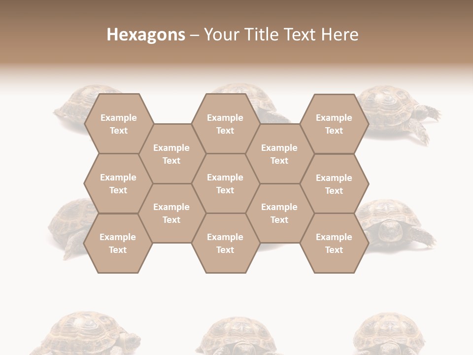 Motion Persistence Climate PowerPoint Template