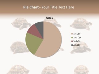 Motion Persistence Climate PowerPoint Template