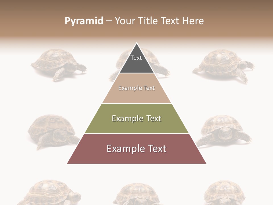 Motion Persistence Climate PowerPoint Template