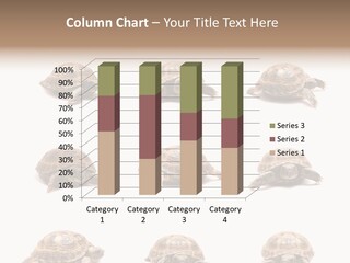 Motion Persistence Climate PowerPoint Template