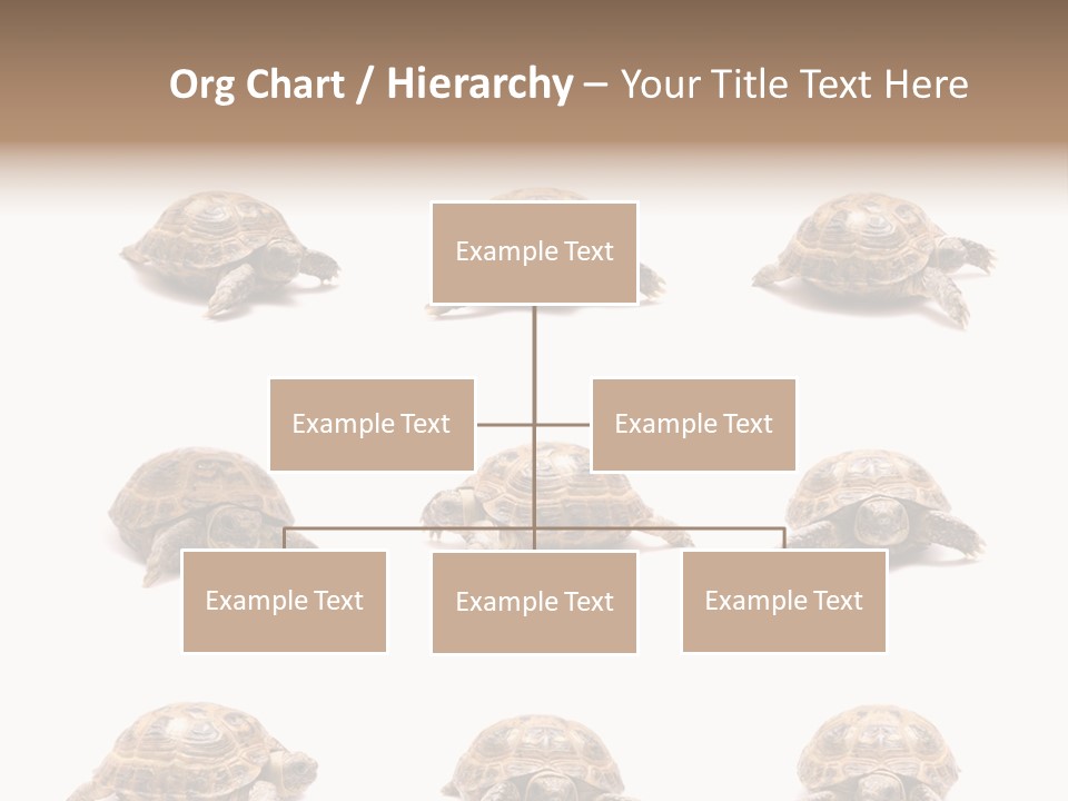 Motion Persistence Climate PowerPoint Template
