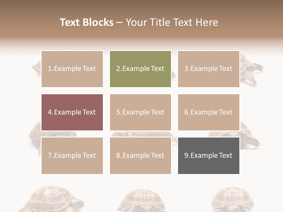 Motion Persistence Climate PowerPoint Template