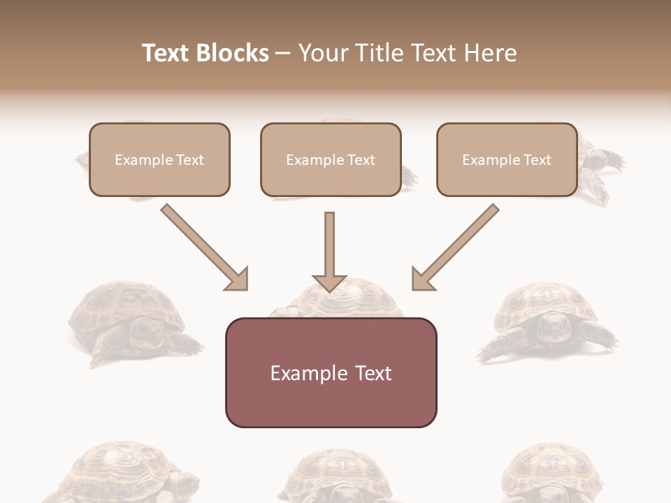 Motion Persistence Climate PowerPoint Template