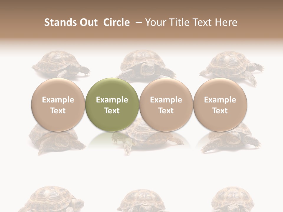 Motion Persistence Climate PowerPoint Template