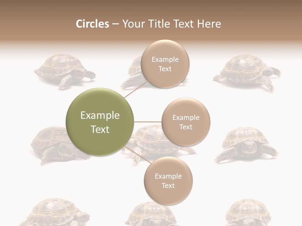 Motion Persistence Climate PowerPoint Template