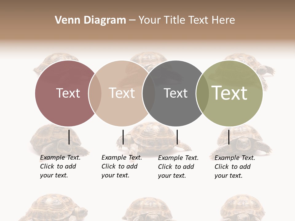 Motion Persistence Climate PowerPoint Template