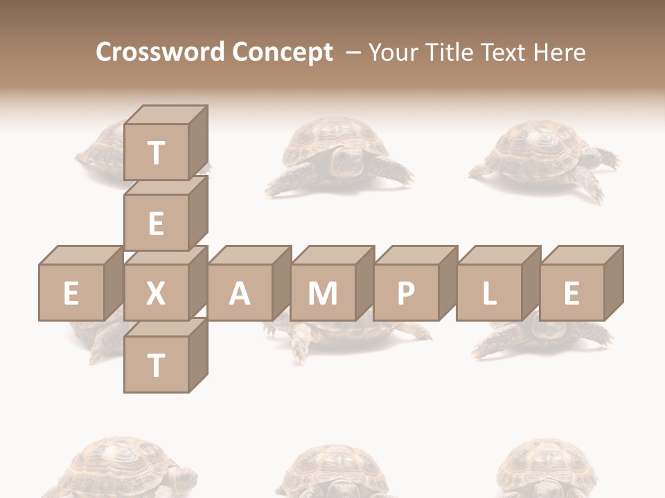 Motion Persistence Climate PowerPoint Template