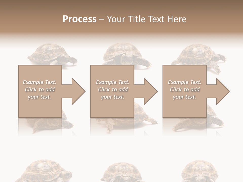 Motion Persistence Climate PowerPoint Template