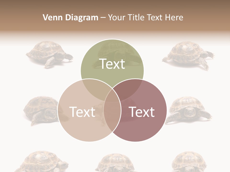 Motion Persistence Climate PowerPoint Template