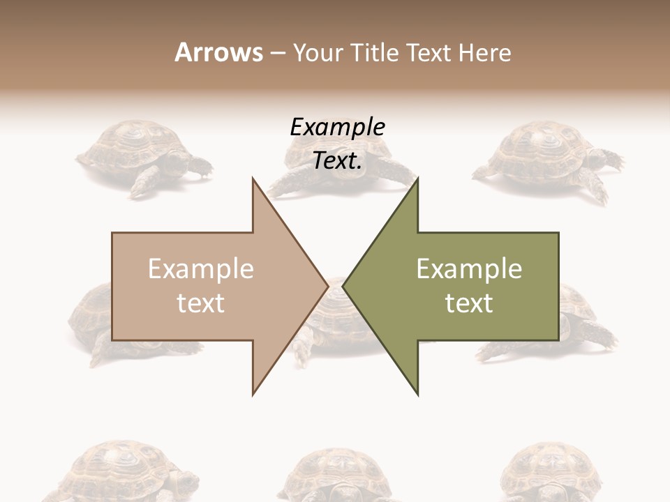 Motion Persistence Climate PowerPoint Template