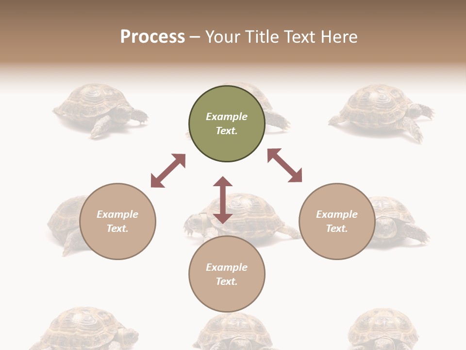 Motion Persistence Climate PowerPoint Template