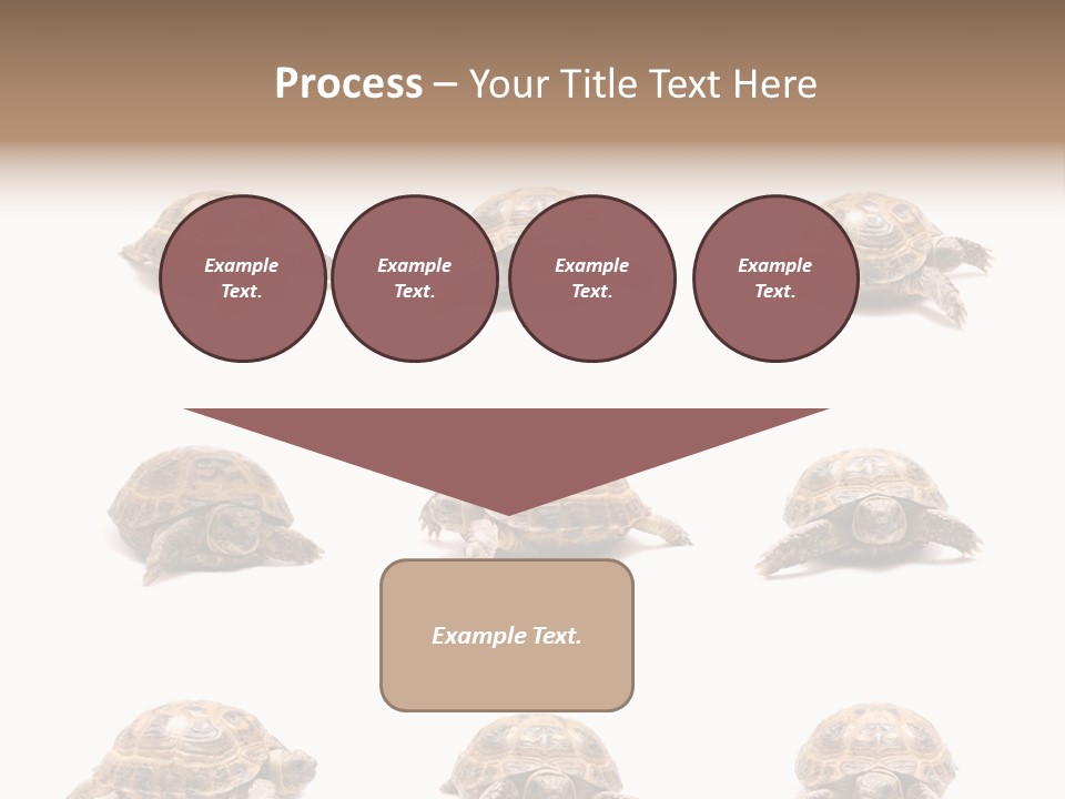 Motion Persistence Climate PowerPoint Template