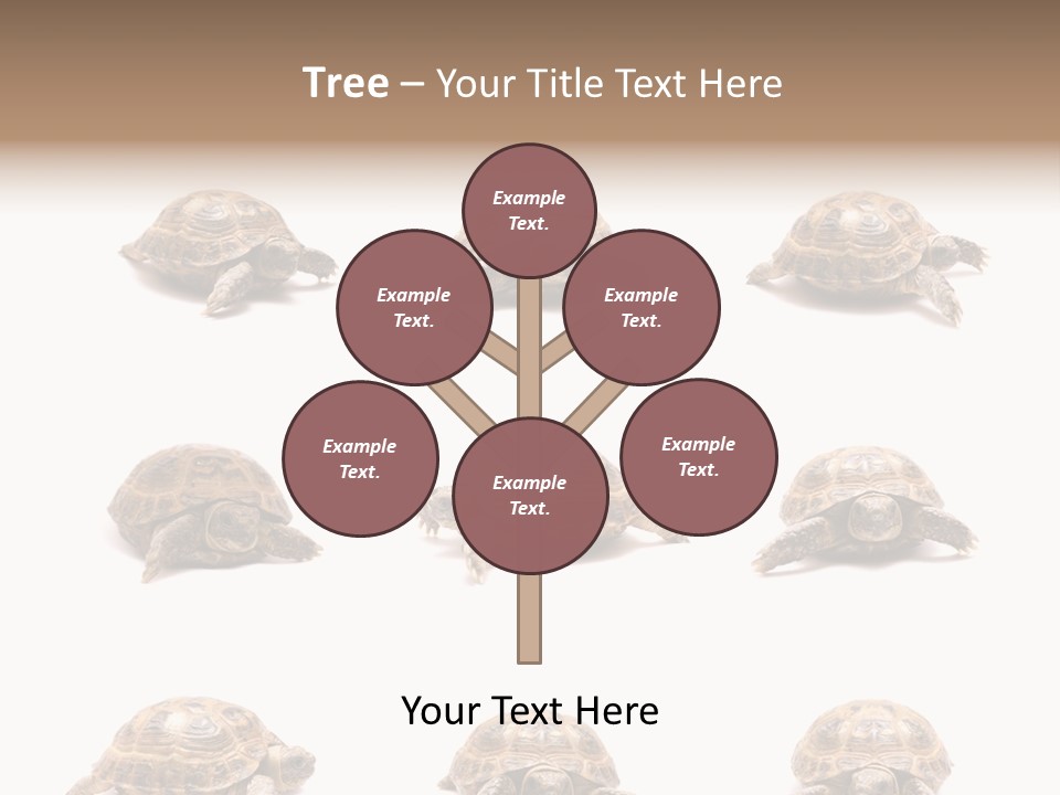 Motion Persistence Climate PowerPoint Template