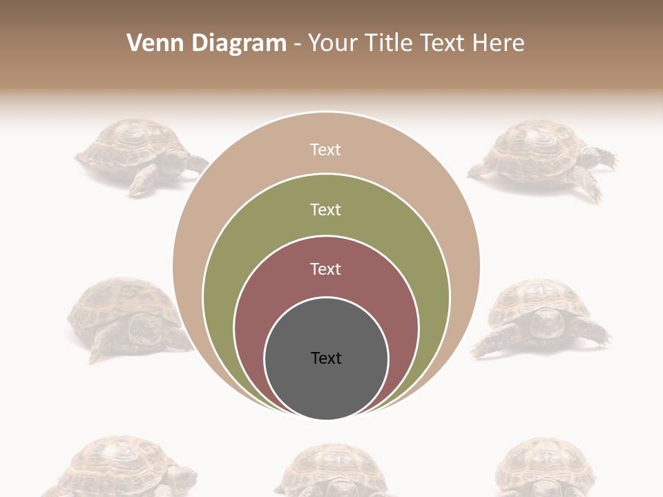 Motion Persistence Climate PowerPoint Template