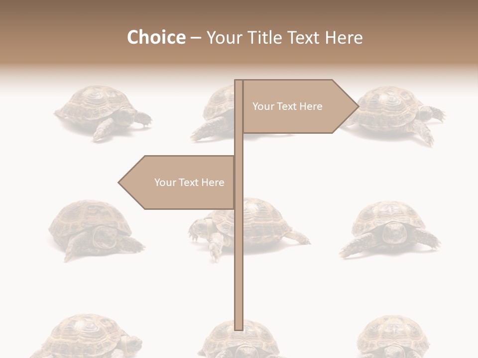 Motion Persistence Climate PowerPoint Template