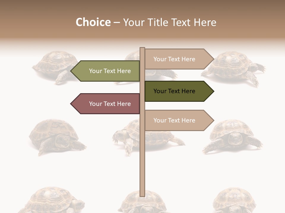 Motion Persistence Climate PowerPoint Template