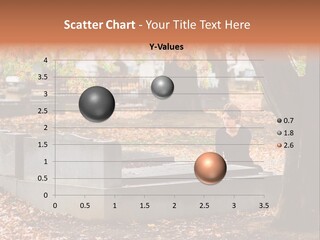 Spirituality Single Deciduous PowerPoint Template