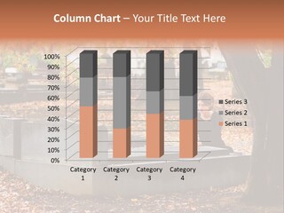 Spirituality Single Deciduous PowerPoint Template