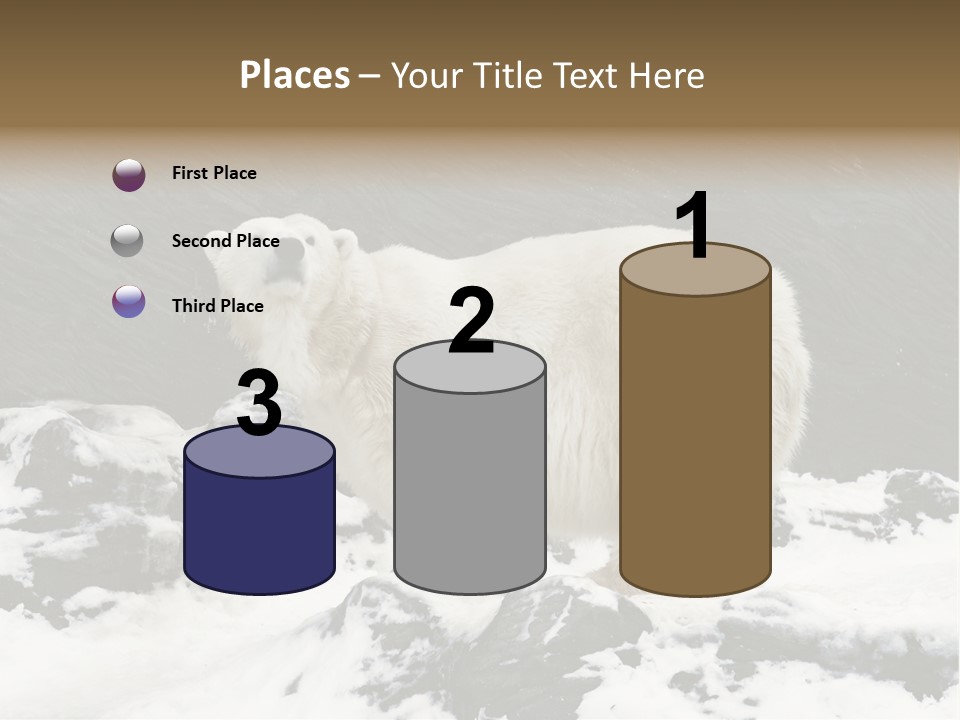 Pole Pool Arctic PowerPoint Template