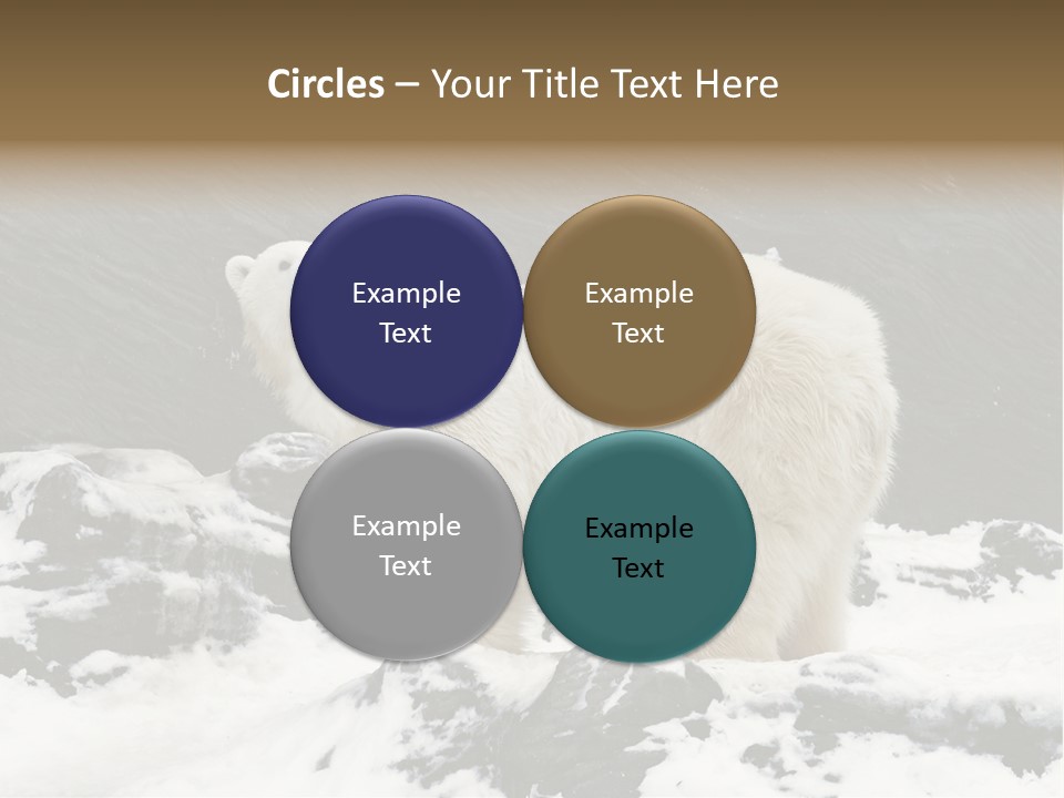 Pole Pool Arctic PowerPoint Template