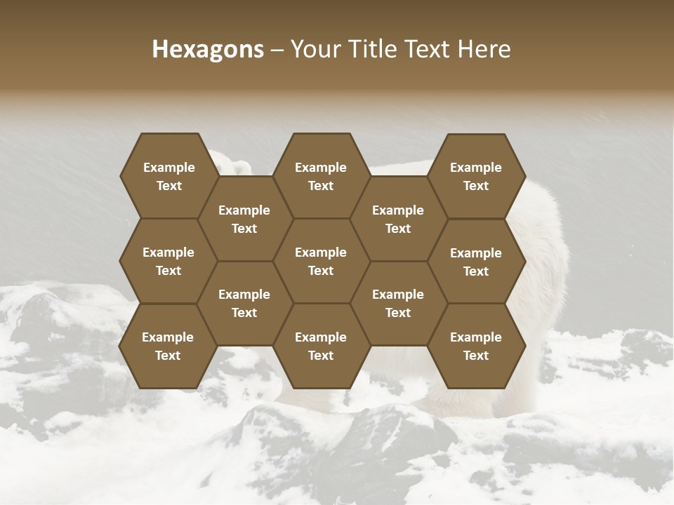 Pole Pool Arctic PowerPoint Template