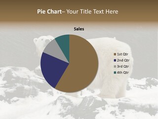 Pole Pool Arctic PowerPoint Template