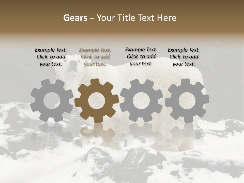 Pole Pool Arctic PowerPoint Template