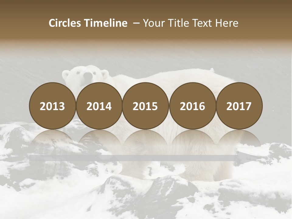 Pole Pool Arctic PowerPoint Template