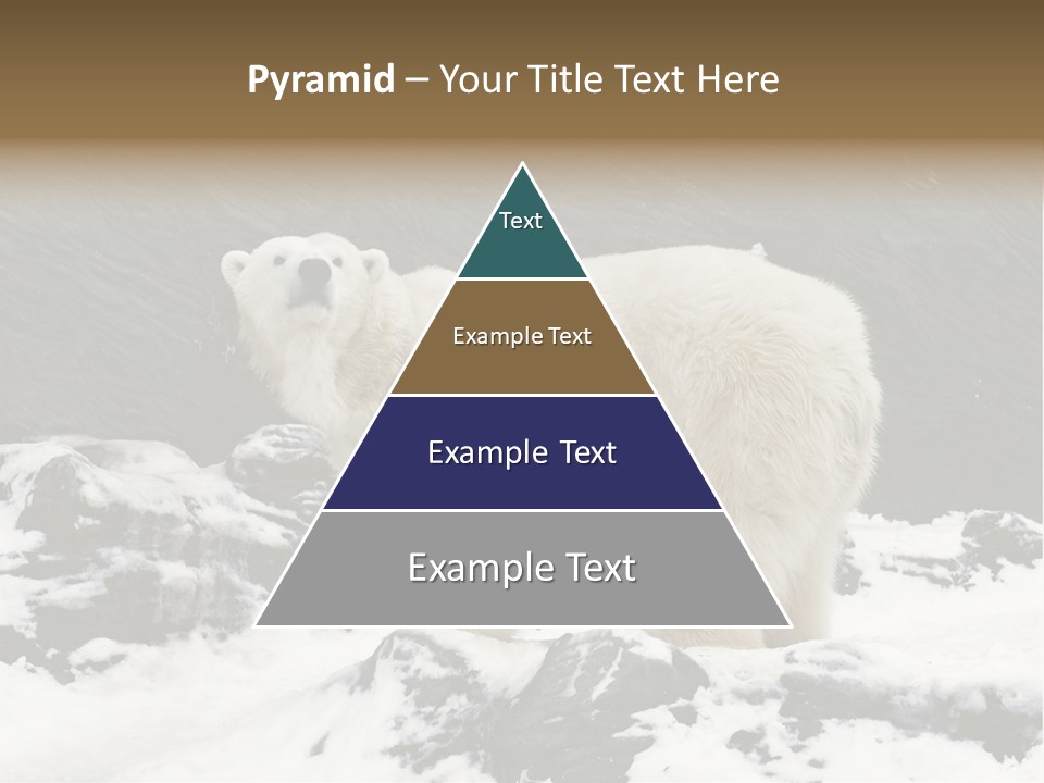 Pole Pool Arctic PowerPoint Template