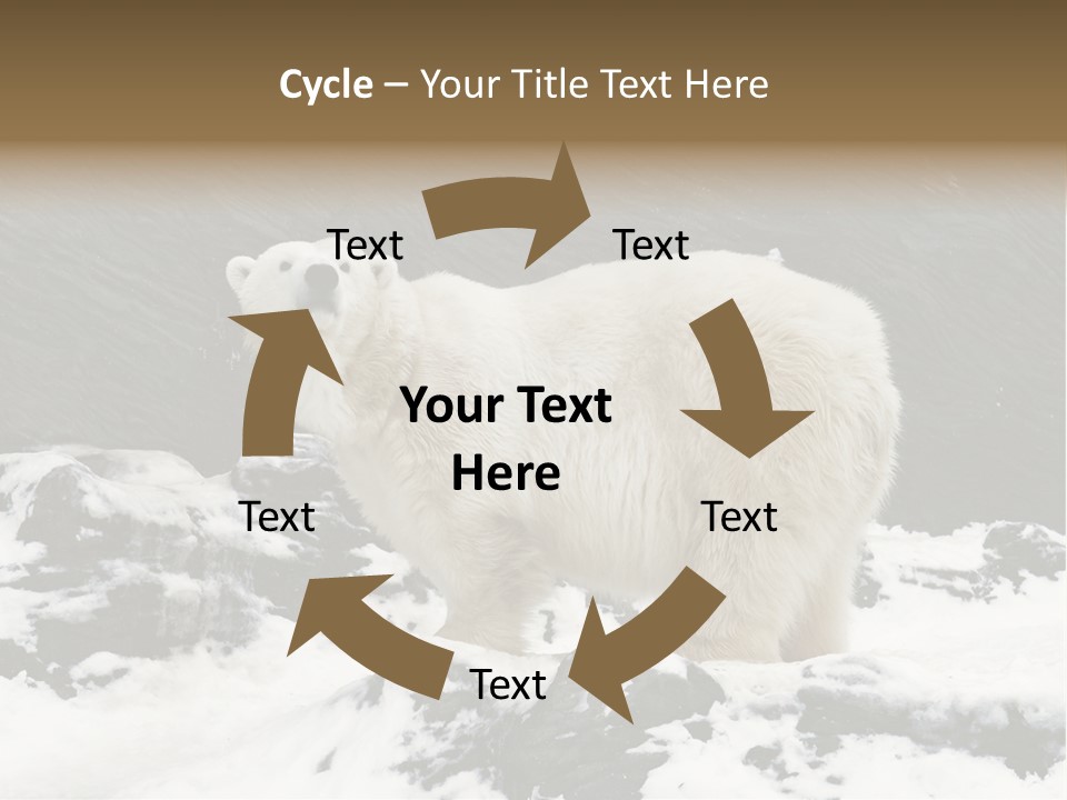 Pole Pool Arctic PowerPoint Template