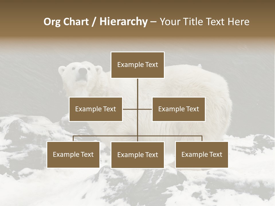 Pole Pool Arctic PowerPoint Template