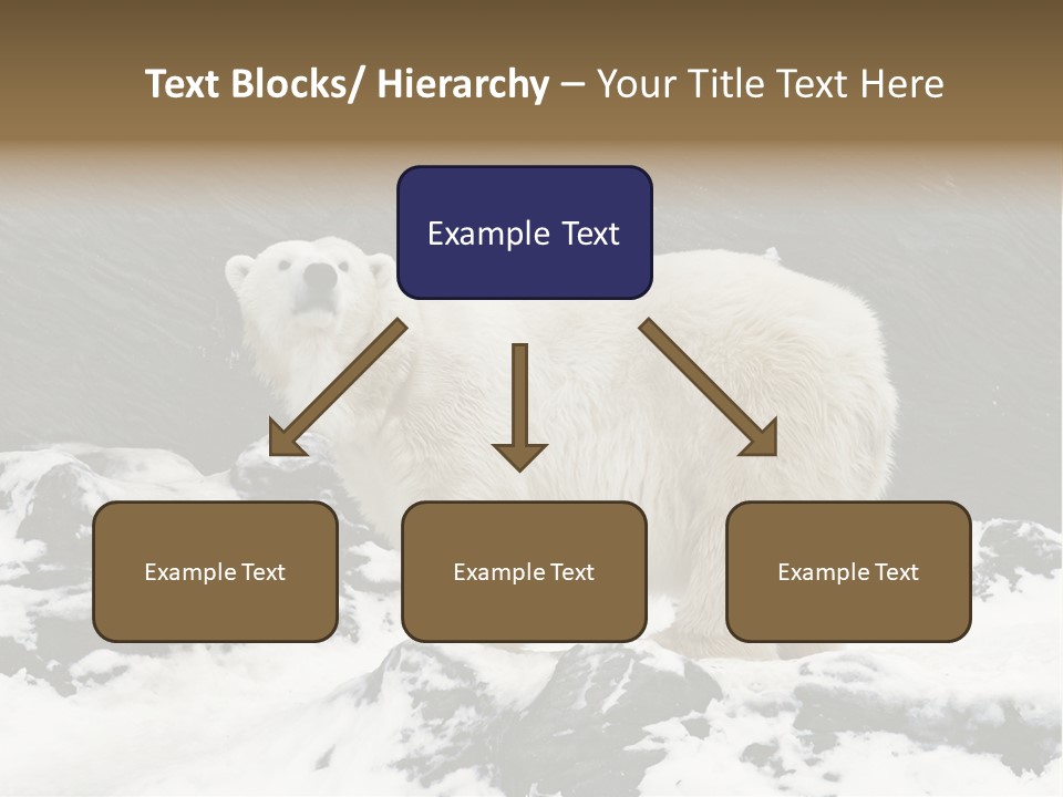 Pole Pool Arctic PowerPoint Template