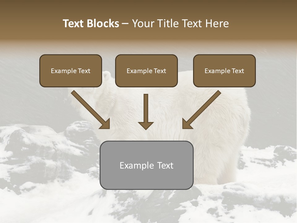 Pole Pool Arctic PowerPoint Template