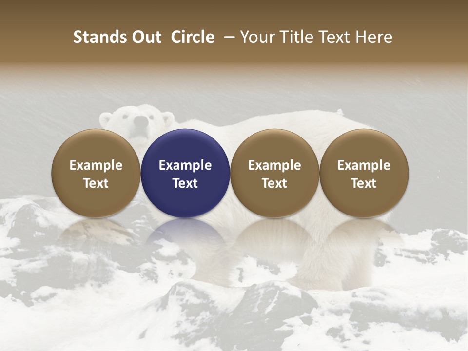 Pole Pool Arctic PowerPoint Template