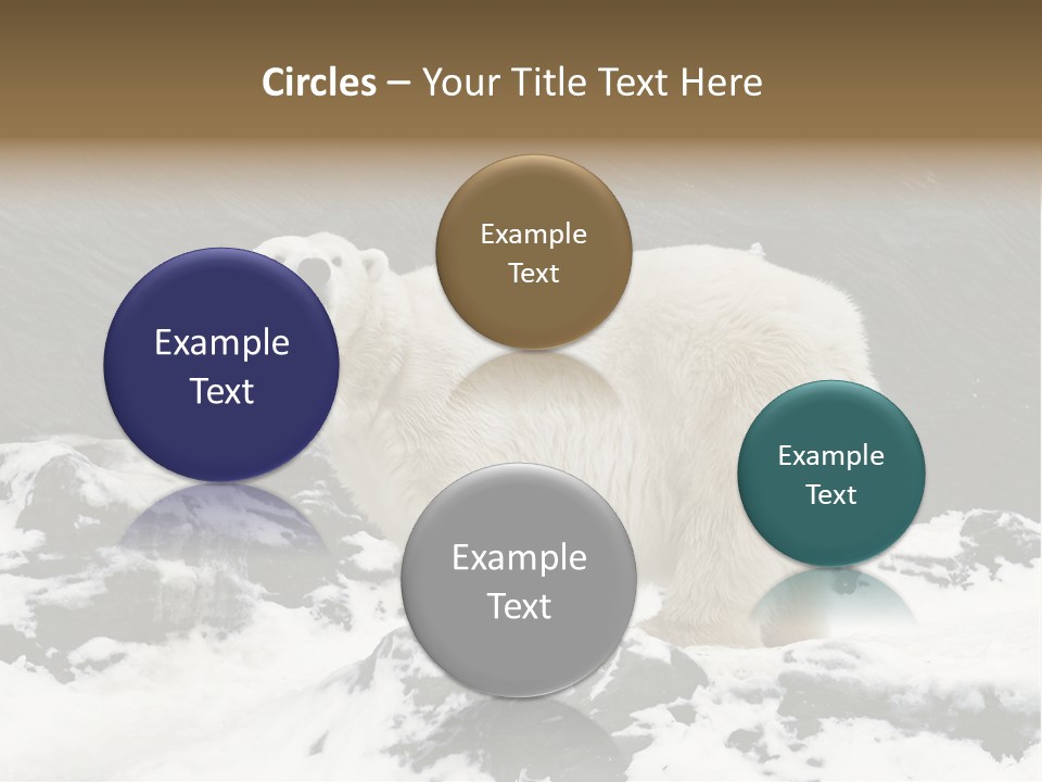 Pole Pool Arctic PowerPoint Template