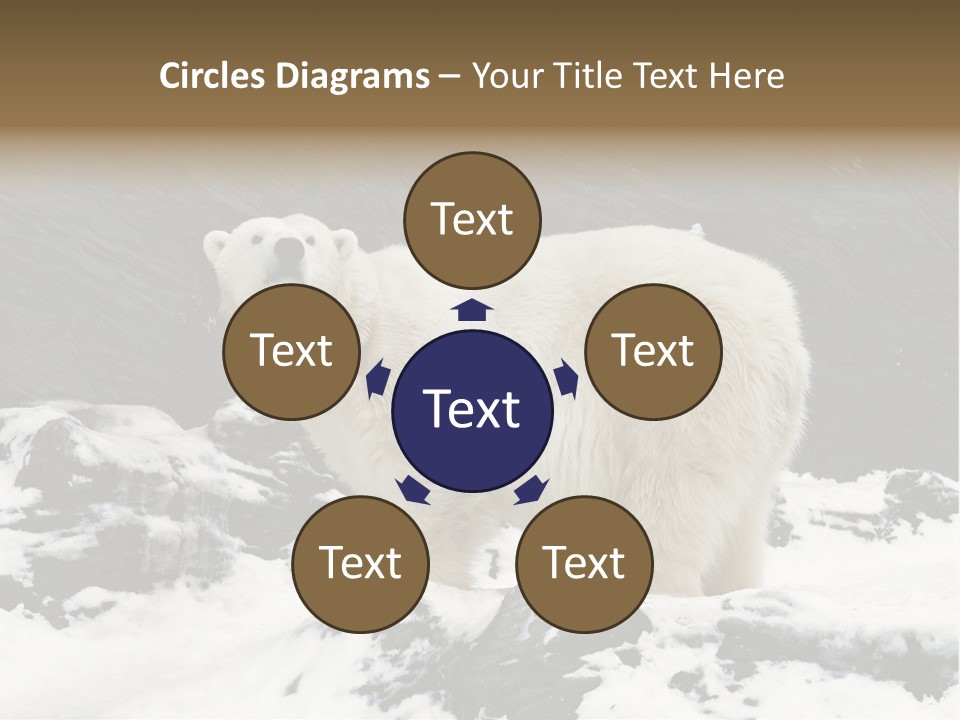 Pole Pool Arctic PowerPoint Template