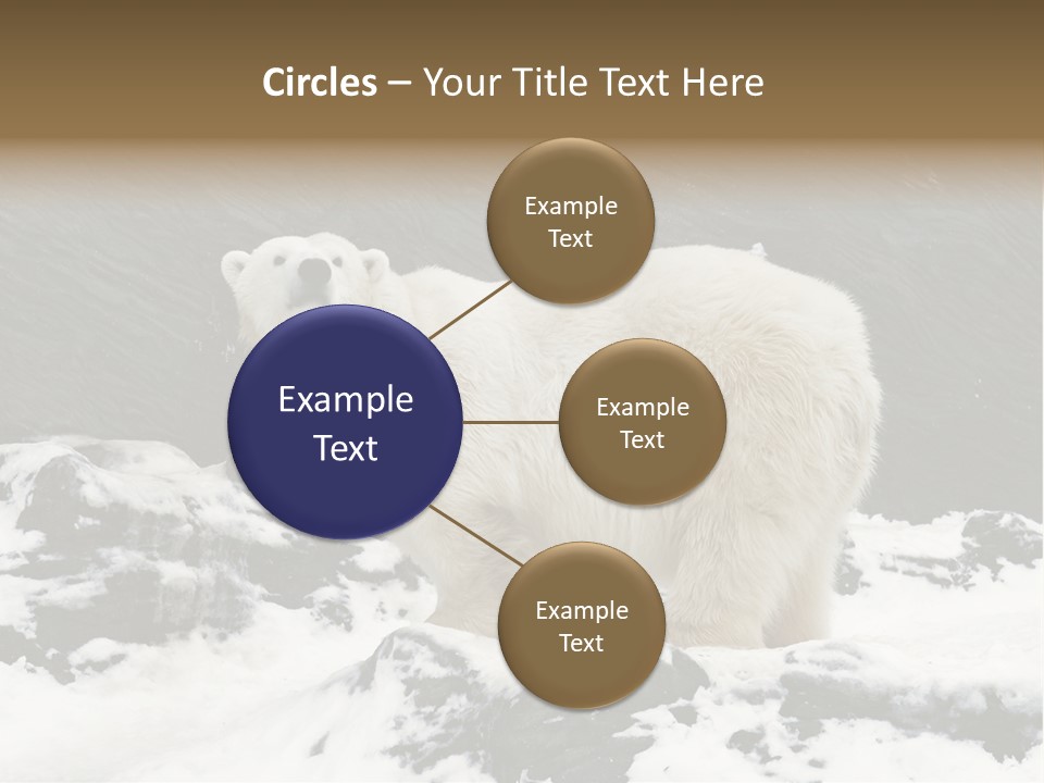 Pole Pool Arctic PowerPoint Template