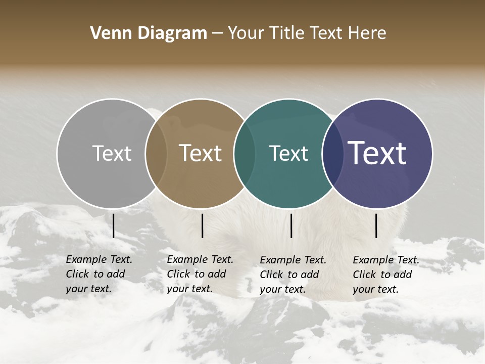 Pole Pool Arctic PowerPoint Template
