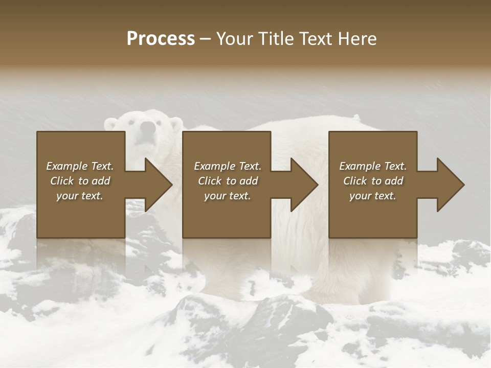 Pole Pool Arctic PowerPoint Template