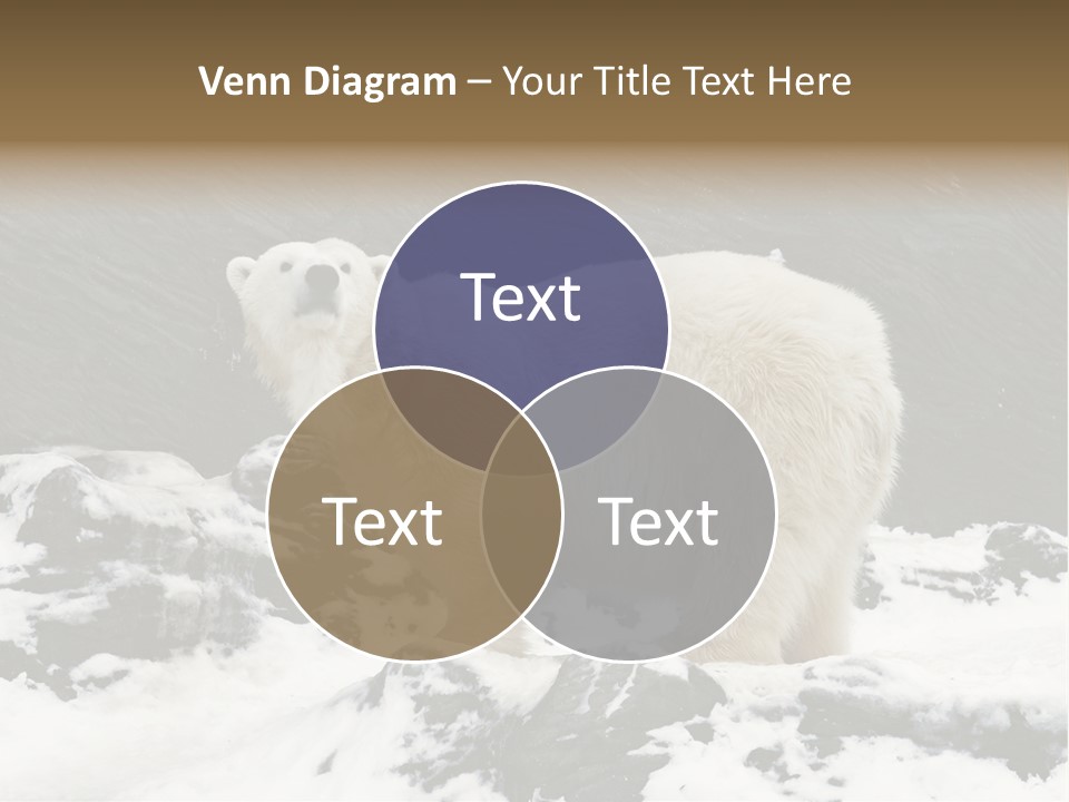 Pole Pool Arctic PowerPoint Template