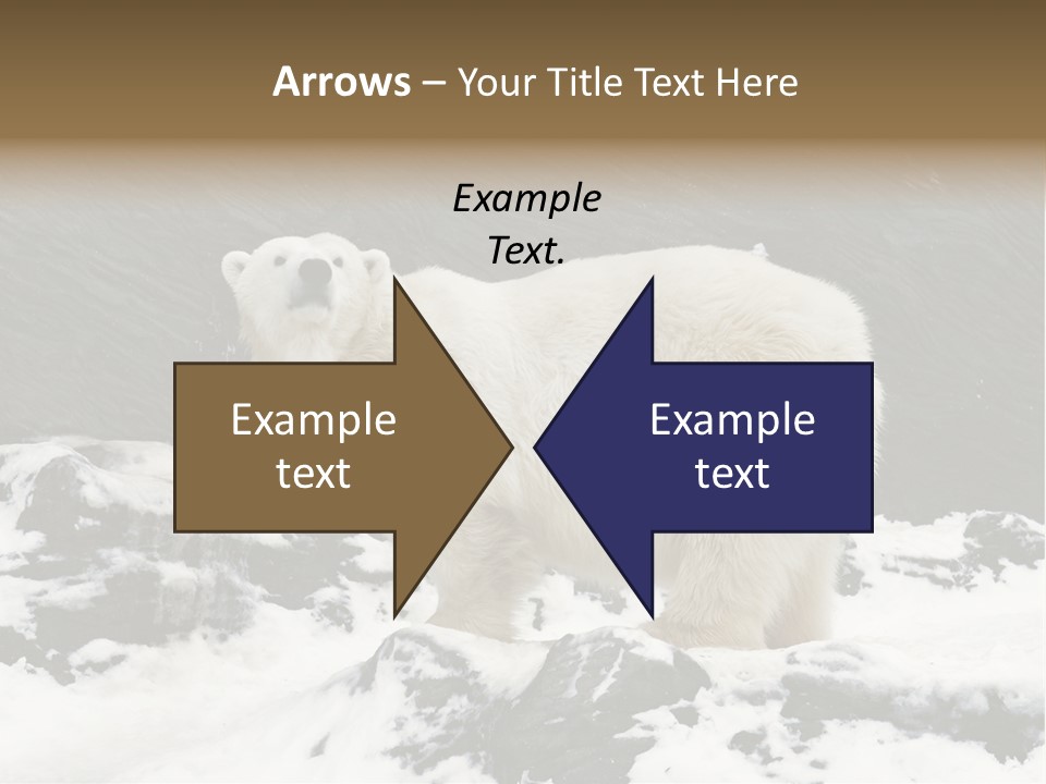 Pole Pool Arctic PowerPoint Template